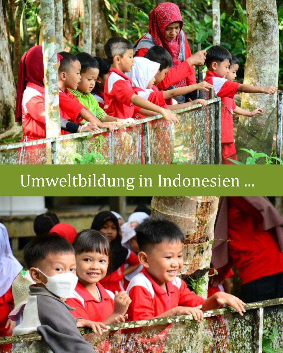 OrangUtansInNot's tweet image. Um Menschen für die Wichtigkeit intakter #Ökosysteme zu sensibilisieren, betreibt unser Partner Yayorin auf #Borneo #Umweltbildung für Jung und Alt. Seit vielen Jahren unterstützen wir unseren Partner bei dieser Mission. Infos und Unterstützung: shorturl.at/71ljR