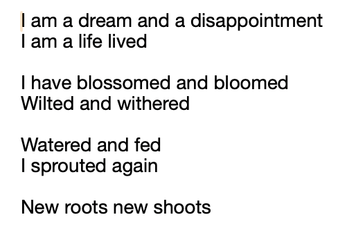 FoggyDay tweet media