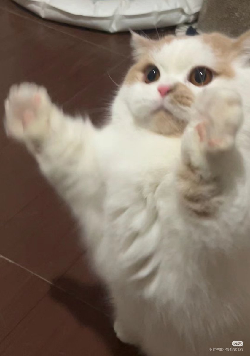 เหน่ยจัง                                มากอดกัน