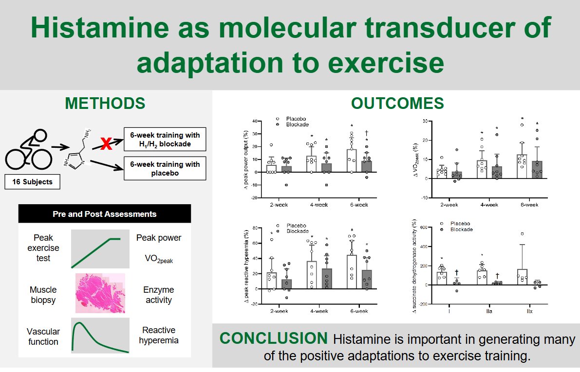 The findings of this one suggest that exercise-induced histamine release is important in generating many of the positive adaptations to exercise training that result in improvements in fitness.