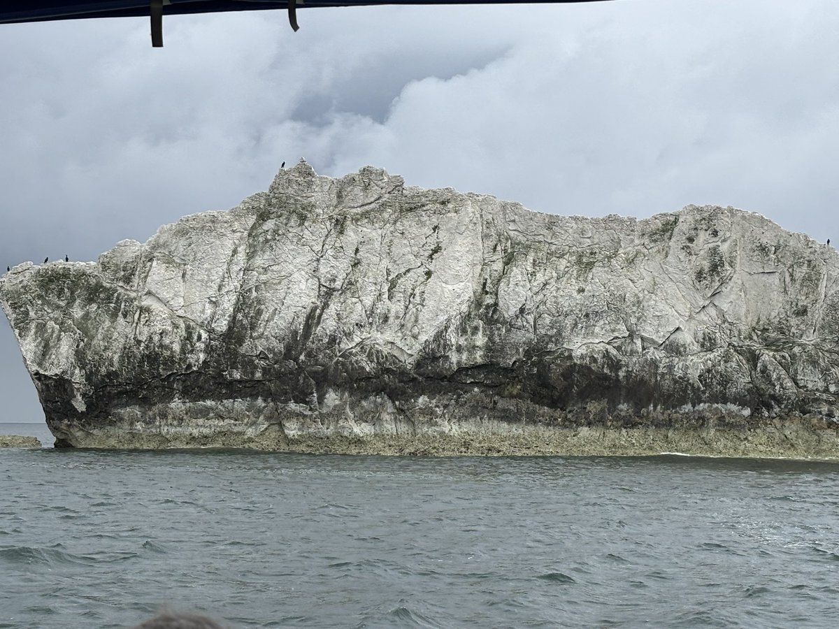 Pippa Eden-Higgs (@pippaeden) on Twitter photo 