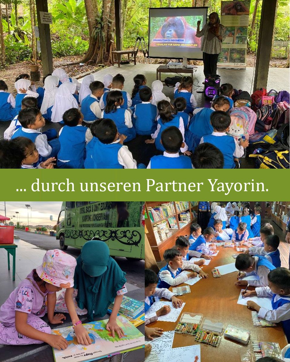 OrangUtansInNot's tweet image. Um Menschen für die Wichtigkeit intakter #Ökosysteme zu sensibilisieren, betreibt unser Partner Yayorin auf #Borneo #Umweltbildung für Jung und Alt. Seit vielen Jahren unterstützen wir unseren Partner bei dieser Mission. Infos und Unterstützung: shorturl.at/71ljR