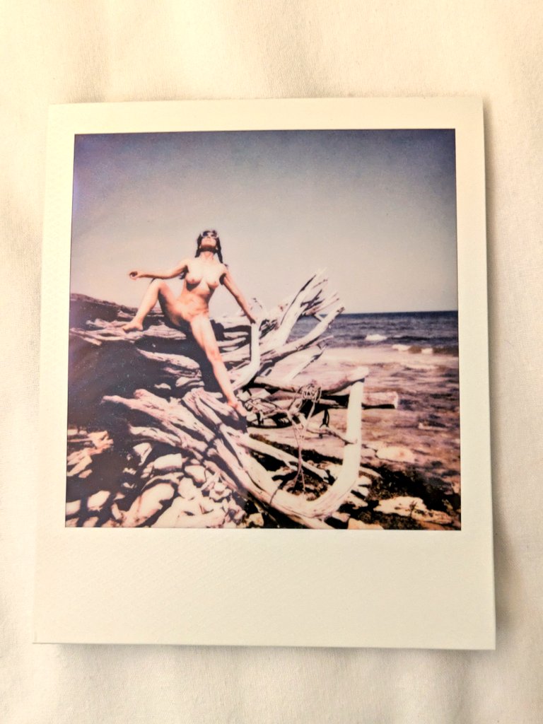 Visual Sanctity tweet media