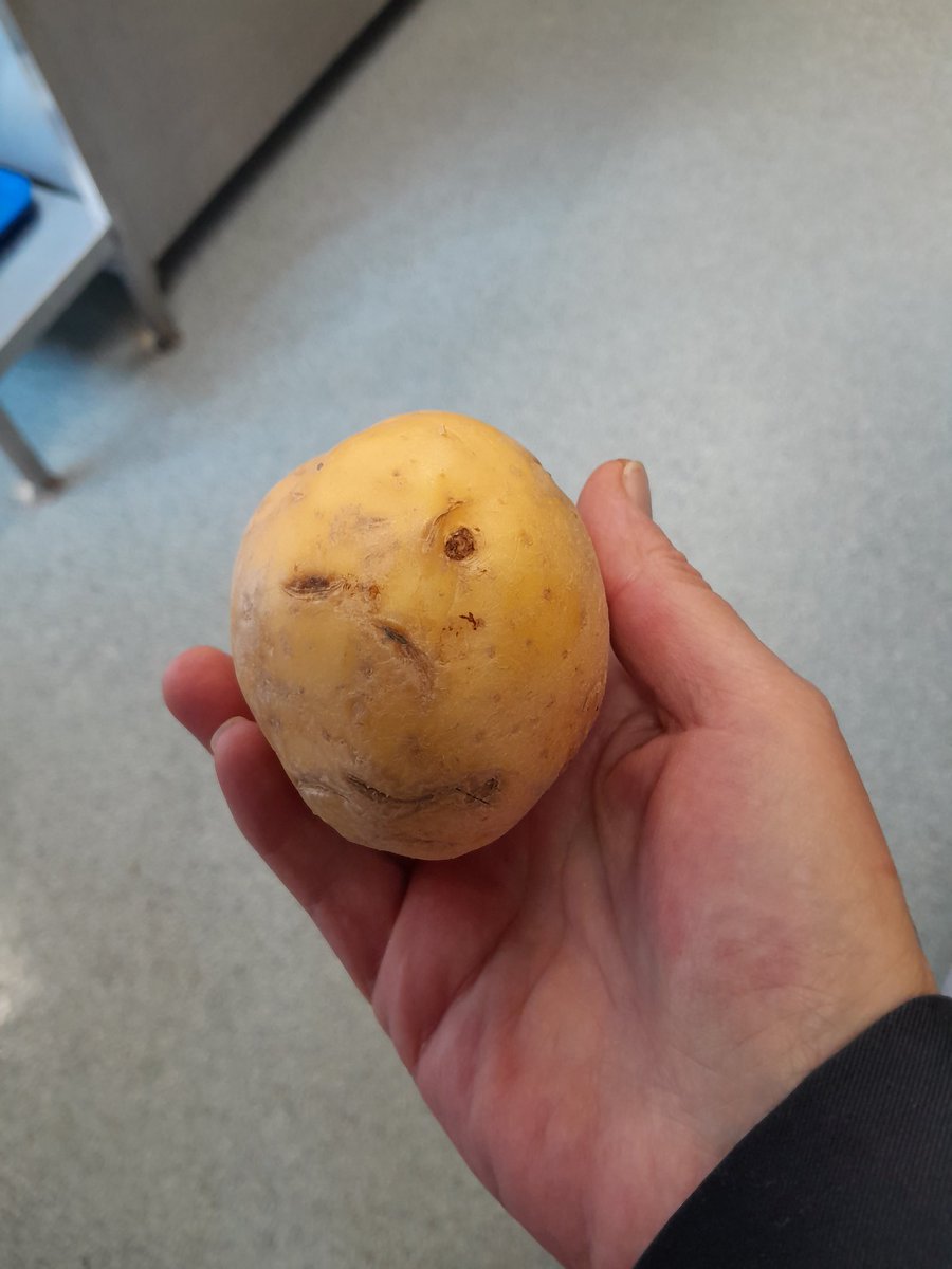 lyndsiejo78's tweet photo. Just an Angry Potato https://t.co/v1FcxXMUxq