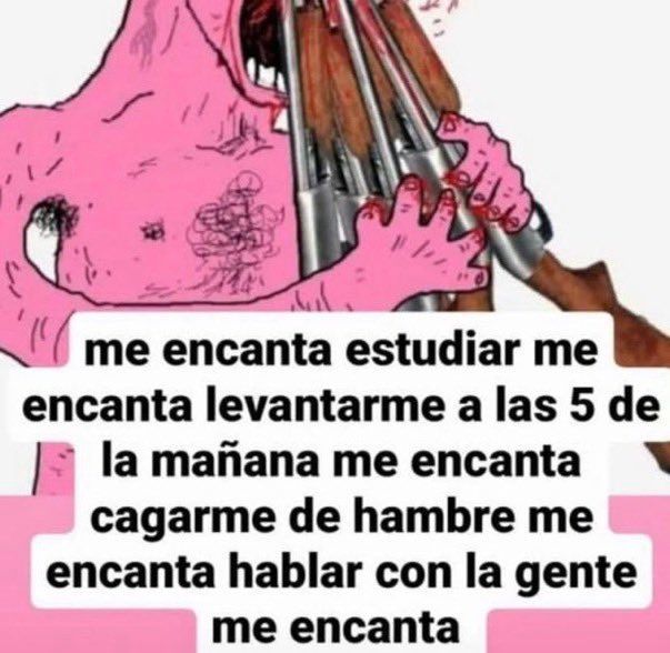 chincheto pirata somali (@wikipistacho) on Twitter photo 