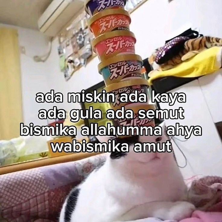 badgalmariaaaa's tweet photo. @tanyarlfes Maaf kurang lucu, karena aku sudah lucu https://t.co/9U5nignJE2