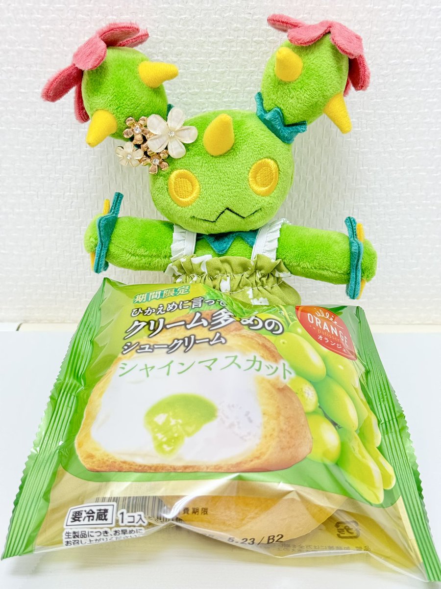 マラ力ッチのいる生活 tweet media