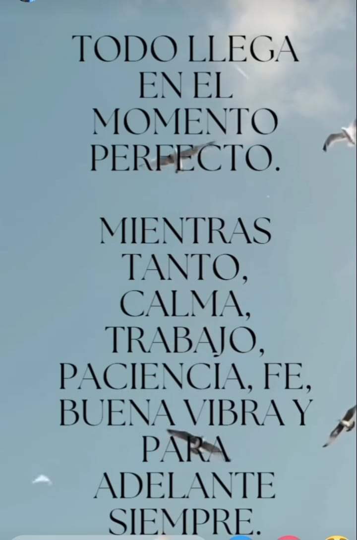 VidaEquilibrad4's tweet photo. https://t.co/oHiGRLNcaf