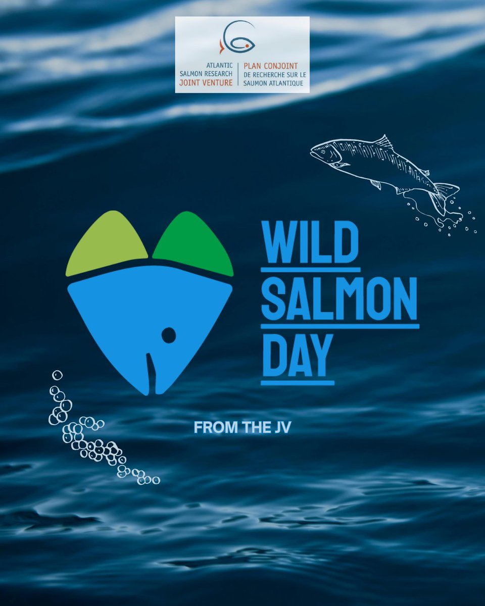 Happy Wild Salmon Day!

Wild salmon are in trouble, human activity is pushing them to the brink. If you fish, teach, govern, or just love nature, salmon need you.

Let’s be the reason they keep coming back.💙🐟

#RaisetheFlag #WildSalmonDay