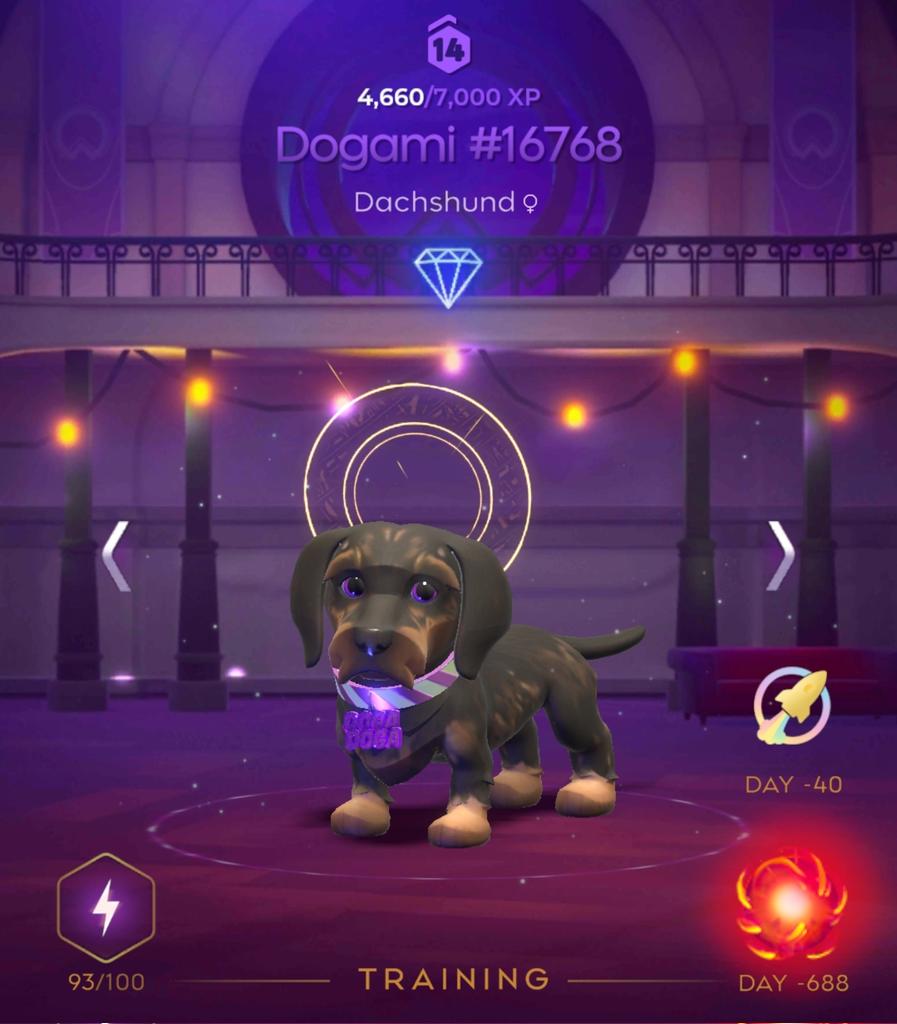 Vasya Vasya tweet media