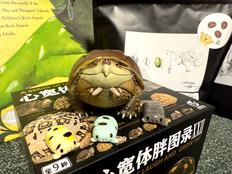 Amazon.co.jp: 動物の惑星 アニマルプラネット 爬虫類リアル