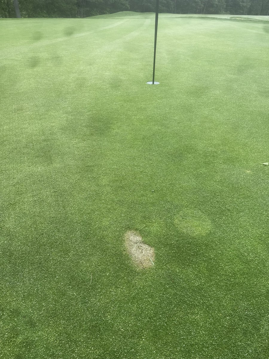 First one of 2025!  Congrats, I hope you get #twoweeksoftheshits