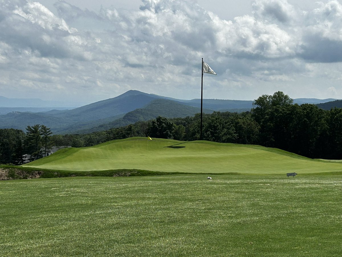 BackstretchExp's tweet image. This and $75 oil