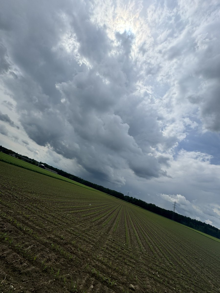 meteo_be's tweet photo. Gewitter die entstanden sind jnd sich nun vergrössern :) https://t.co/mVjUhHOJ3y