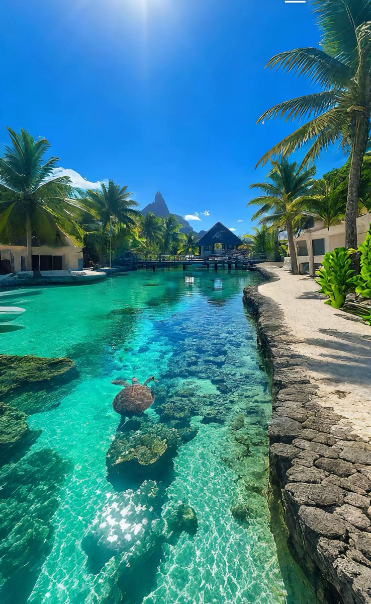 Ugh love being in paradise and losers pay for it 
•
•
findomgoddess brattydomme shydomme softdomme spoiled princess findomgoddess whalesub paypig finsub walletslave ebonygoddess bnwo cashslave cashmistress findommaster humanatm payslave walletsub giftme slientsub