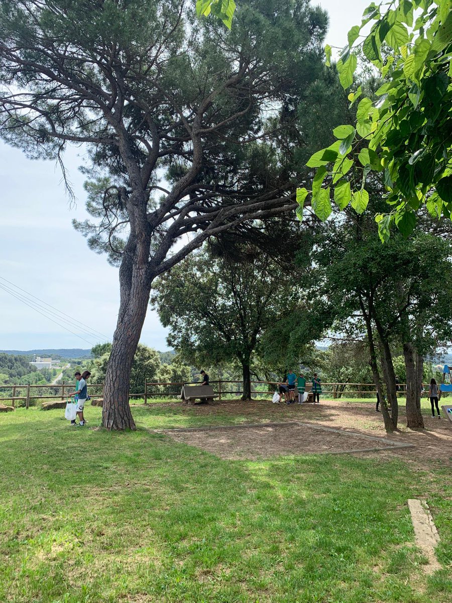 Ajuntament de Navàs tweet media