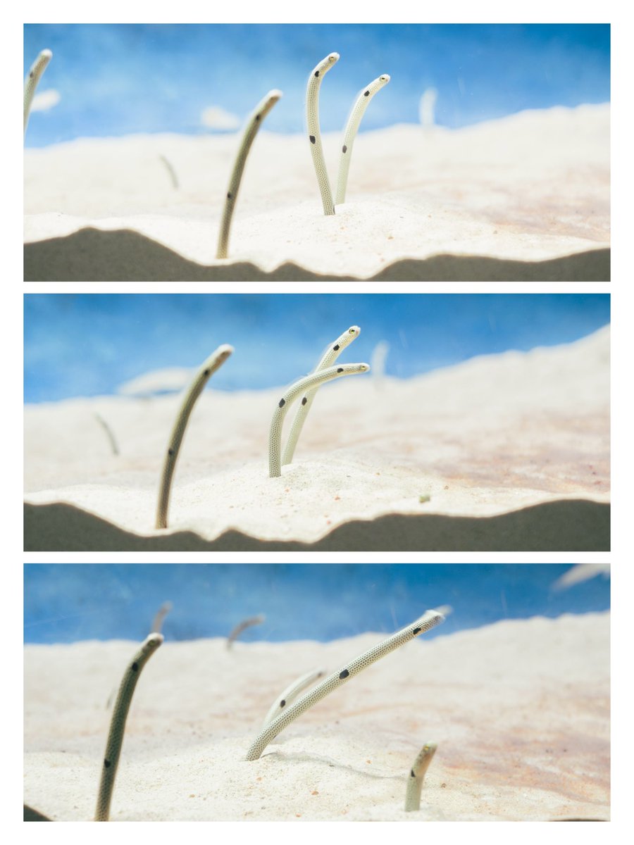 __zonokooo's tweet photo. 3コマ写真 https://t.co/7gFsuL2QRa