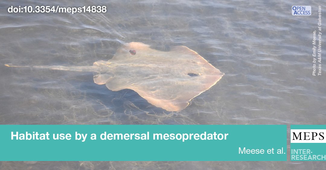 Marine Ecology Progress Series (MEPS) tweet media