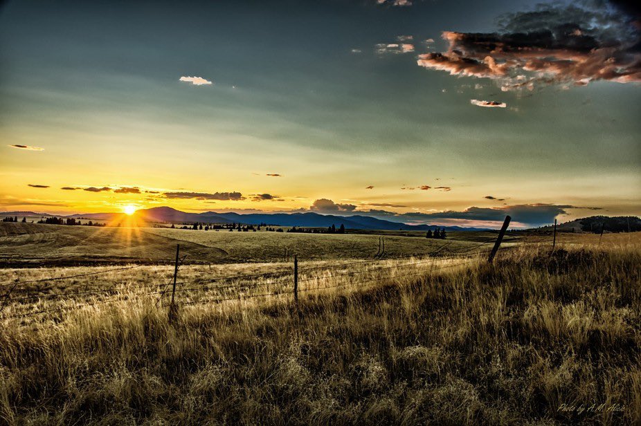 MuthaPNW 🌲🦅🇺🇸 tweet media