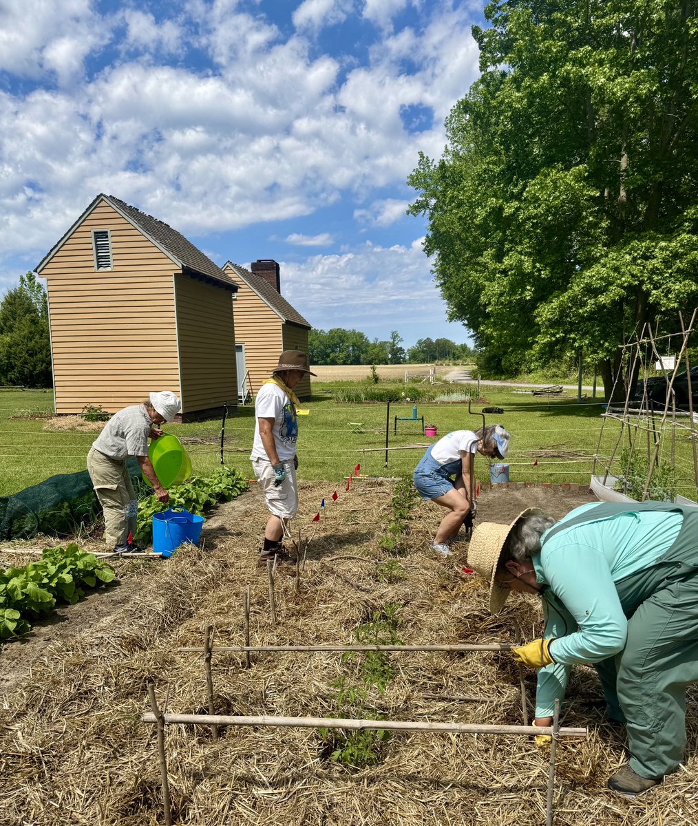 HistoricHope's tweet photo. Weaving a colonial style tomato table. https://t.co/71vDl6txwu