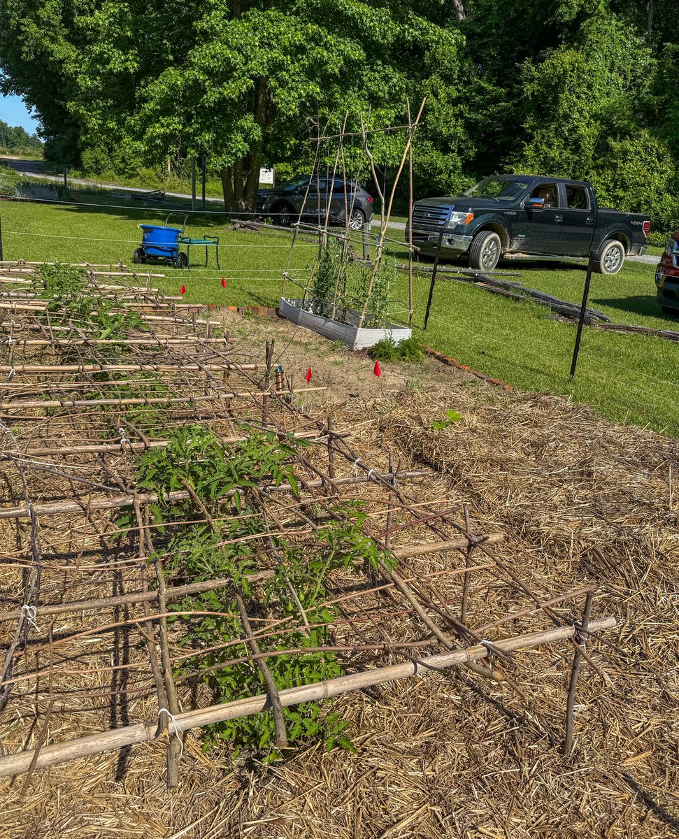 HistoricHope's tweet photo. Weaving a colonial style tomato table. https://t.co/71vDl6txwu