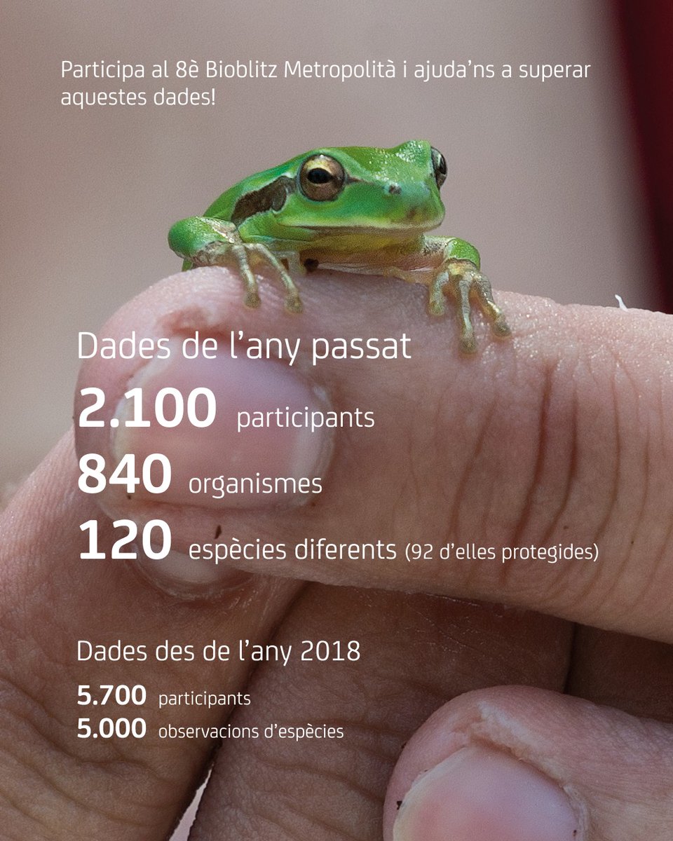 🌿🐸 Participa al 8è Bioblitz Metropolità (24 i 25 de maig) i ajuda’ns a superar les dades de l’any passat!