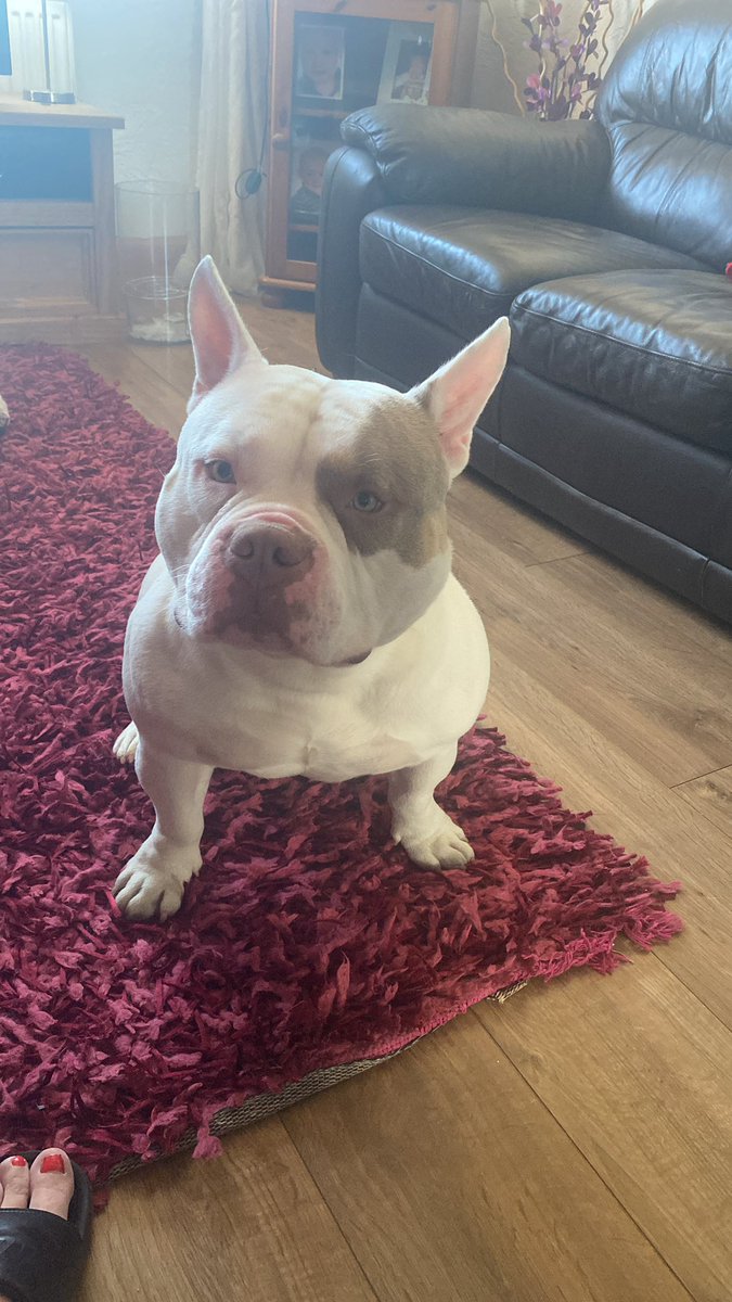 Tracey hope tweet media