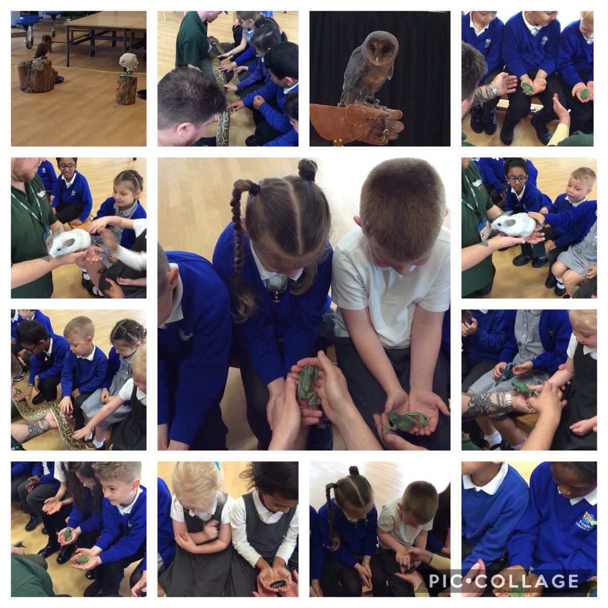 Foxfield - Year 1 tweet media