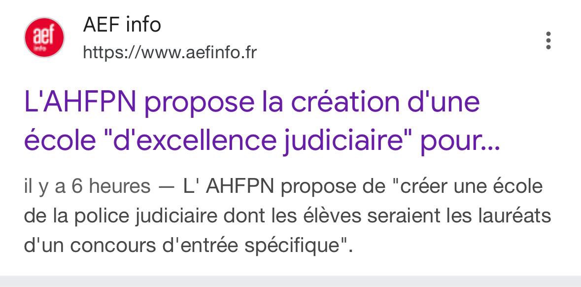 Après avoir provoqué une réforme pour les seuls intérêts de ses adhérents, après avoir réclamé et obtenu la mort de la DCPJ, après avoir cautionné le mépris du judiciaire des commissariats, cette association « fraternelle » se permet des propositions. C’est une blague ?