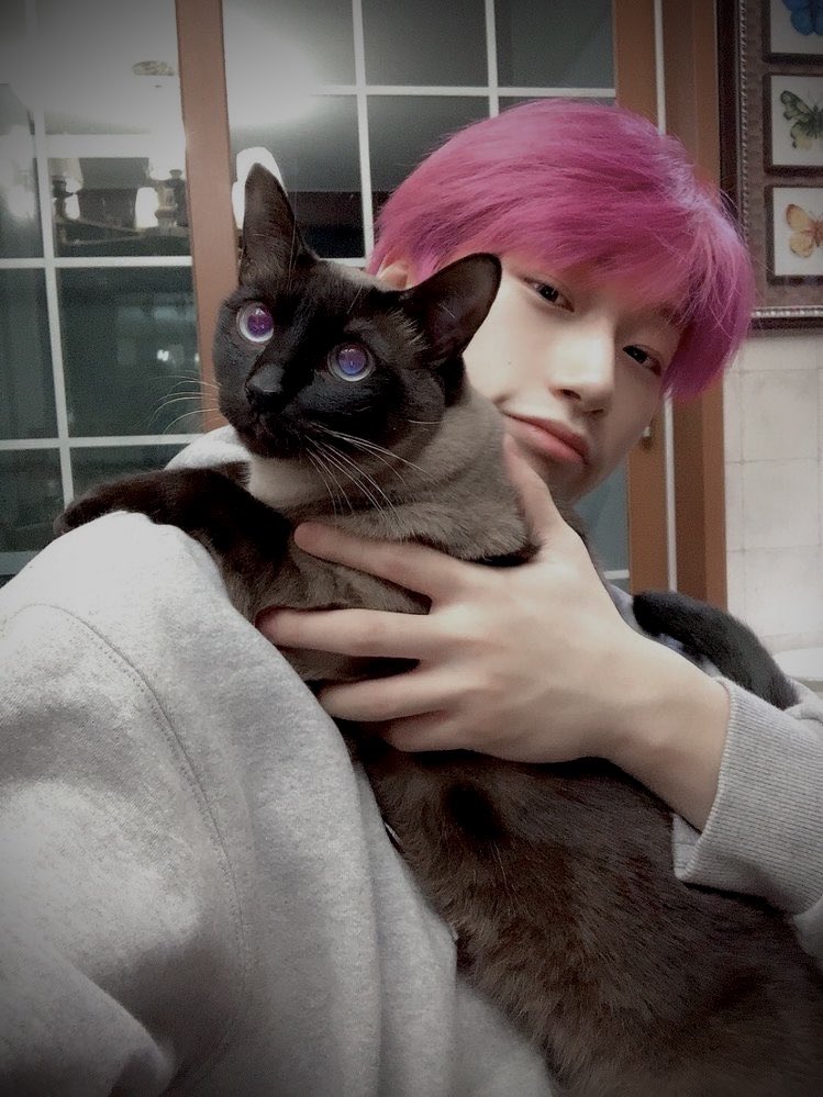 pink hair ✓ kitties ✓ 

♡⟡˙⋆ #ATSD #ATINY #ATINYSelcaDay #SAN #CHOISAN #ATEEZ #에이티즈 #산 #최산