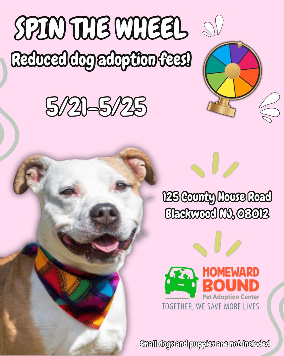 Spin the wheel and let fate decide your adoption fee! 

We are full with dogs! Now is the time to adopt. 

📍 Blackwood, NJ
