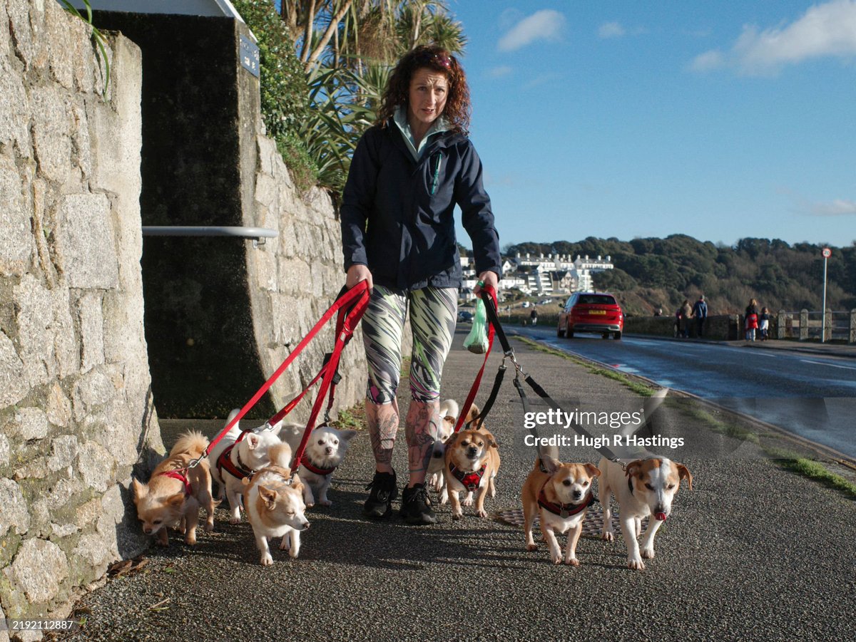 Great British Getty Images tweet media