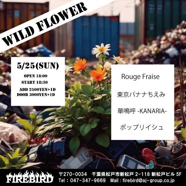 【 ⋆͛📢ライブ情報 】

5/25 （日）
新松戸 FIRE BIRD

OPEN 18:00 / START 18:30

AD 2500YEN+1D 
DOOR 3000YEN+ID

【 出演 】
Rouge Fraise
東京バナナちえみ
華鳴呼 -KANARIA-
ポップリイシュ ◀︎◀︎◀︎

今週末！！
チケット予約はDMにてお待ちしてます！