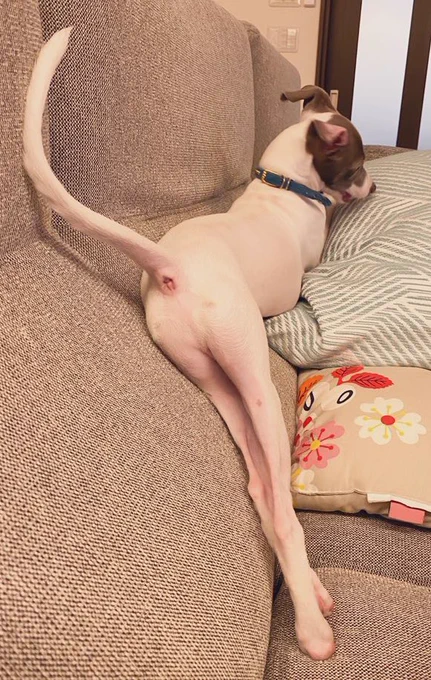 #魅力ある尻を見せてください見た人全員強制 
