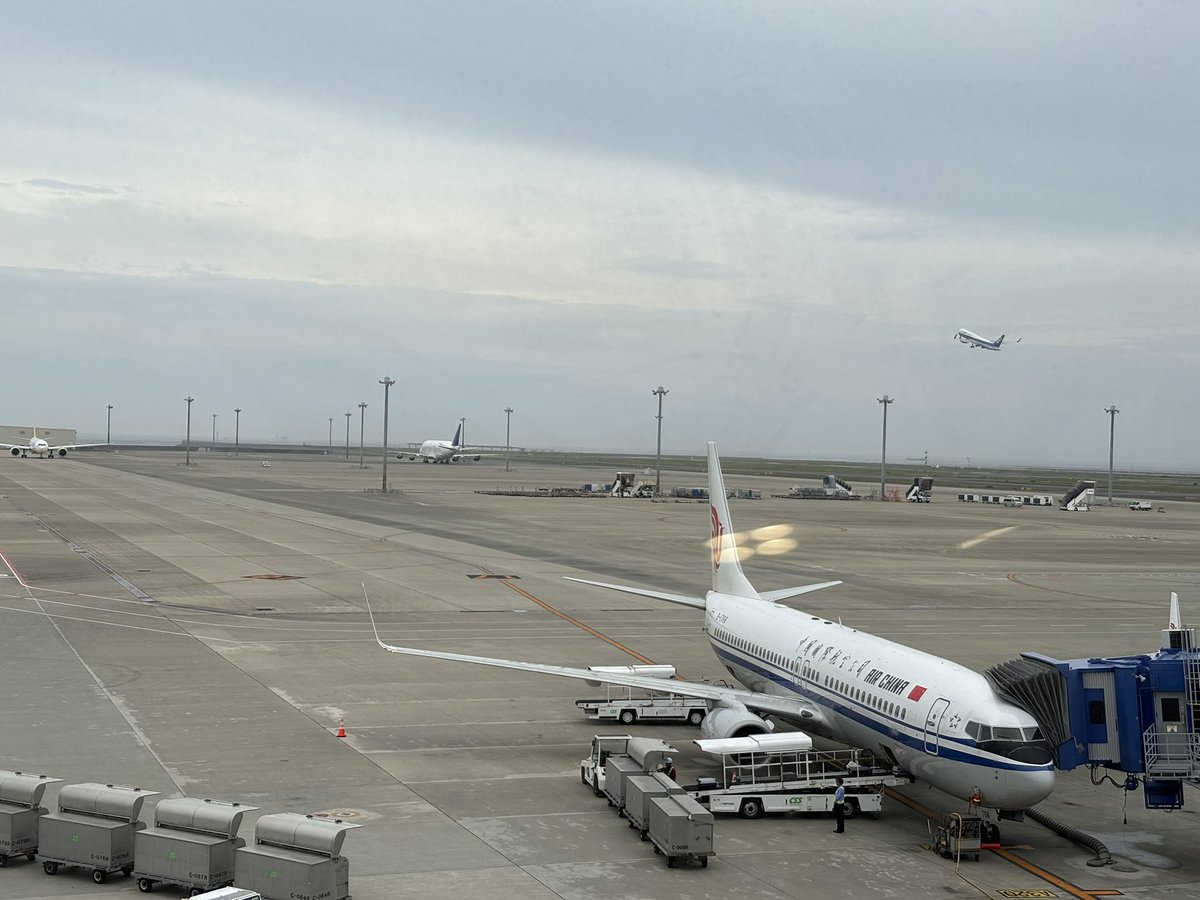 papabear747's tweet photo. .@Centrairairport is always exciting! https://t.co/sVOhYZZiBI