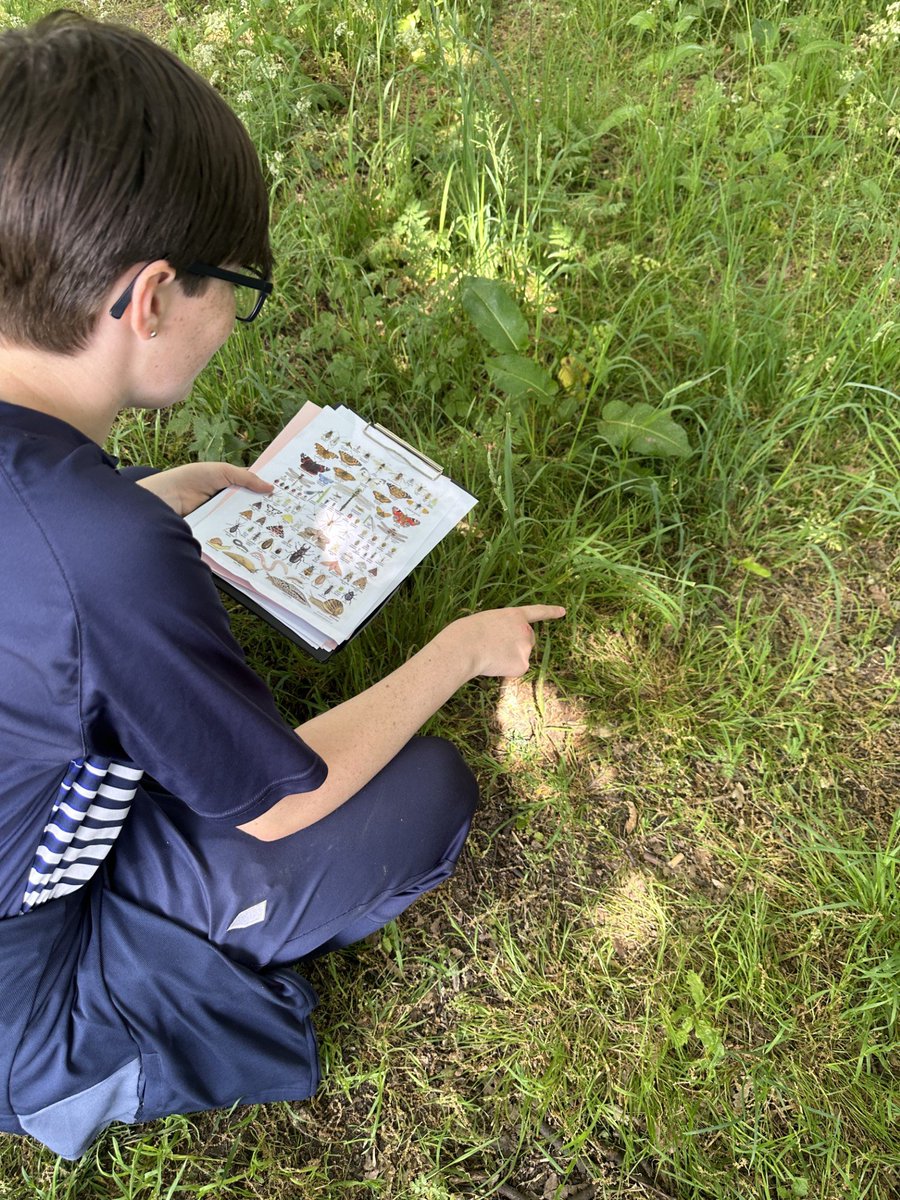 EvertonSchool's tweet photo. Investigating biodiversity at Sefton Park with our Year 9 students! #BringingScienceToLife https://t.co/bP9cJtWTio