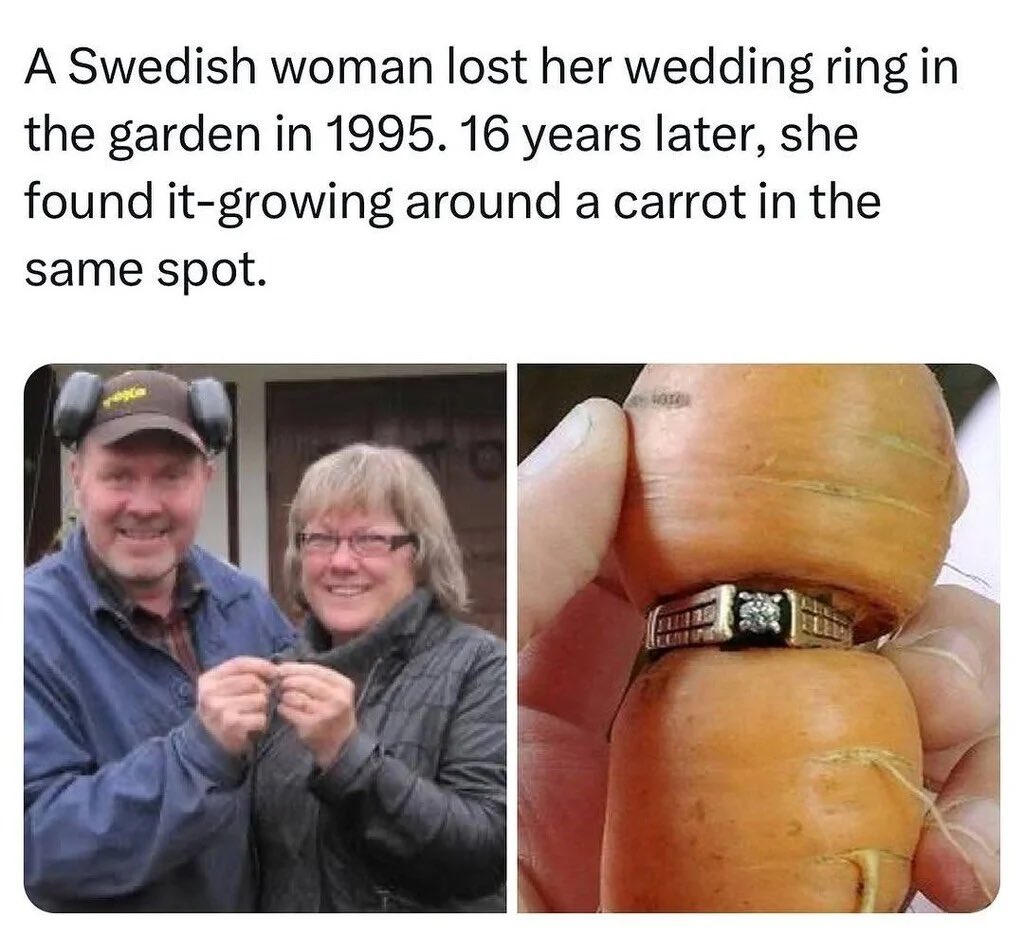 вєуσи∂ χтяємє ѕнσтѕ ✝ tweet media