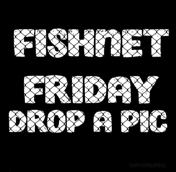 CuddelfuckBuddy's tweet photo. Drop em out https://t.co/AqlL466PEI