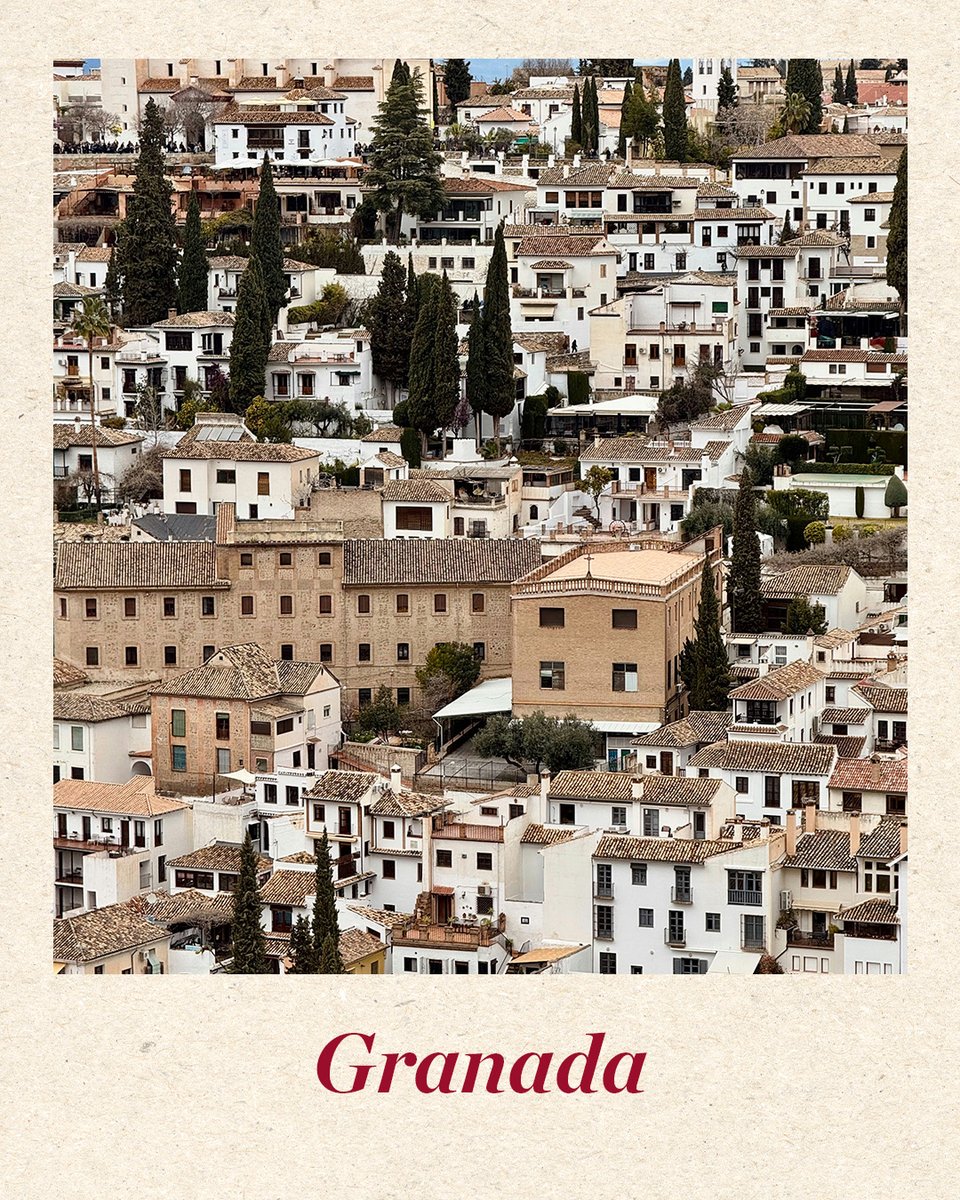 NHCollectionES's tweet image. Déjate cautivar por la Alhambra, los atardeceres dorados y la esencia andaluza que envuelve cada rincón✨​

Descubre nuestro mundo en #MinorHotels ​

#NHCollection #NHCollectionExperience #VisitaGranada