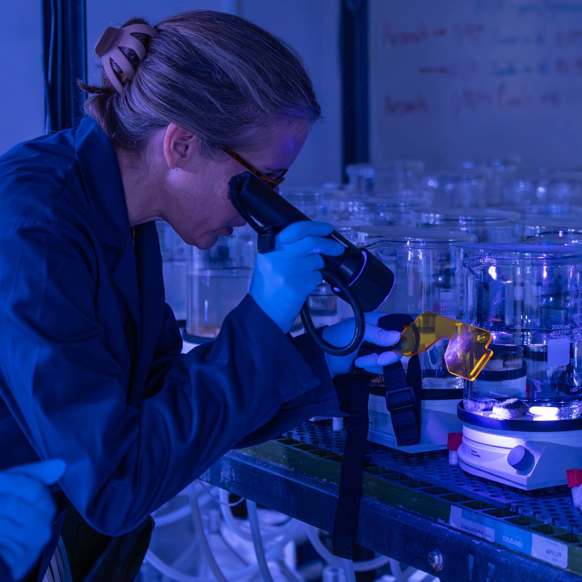 Our 2025 Research Report is now live!

From advanced cybersecurity work to coral reef preservation, find out more by checking out our engaging report here: stories.nova.edu/2025-research-…

#NSUSharks