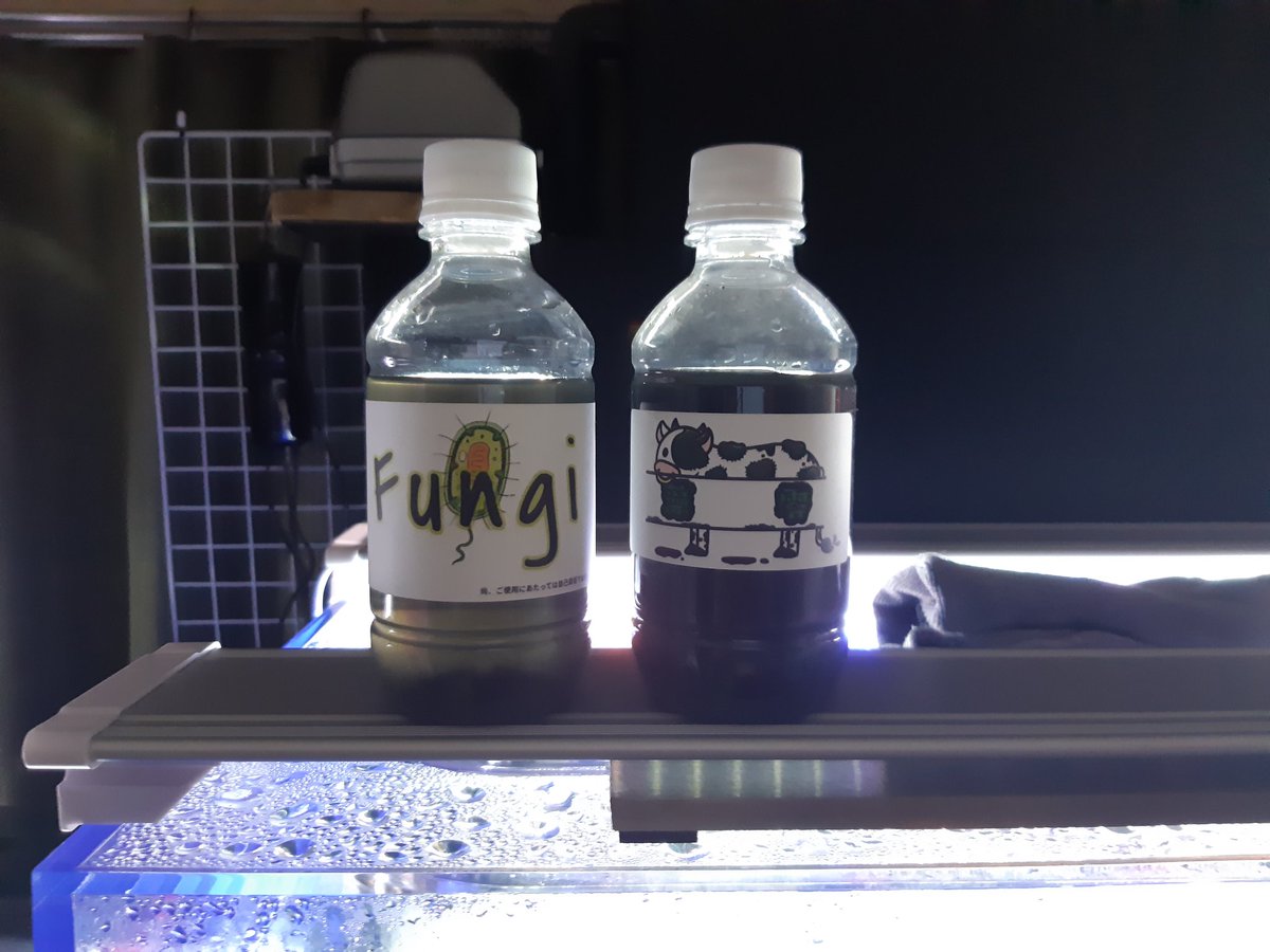 148kei148's tweet photo. 水換えの時
初めて使ってみた。
うちの水に合うかも。
@bababa303030 https://t.co/x4PWpcsbwe