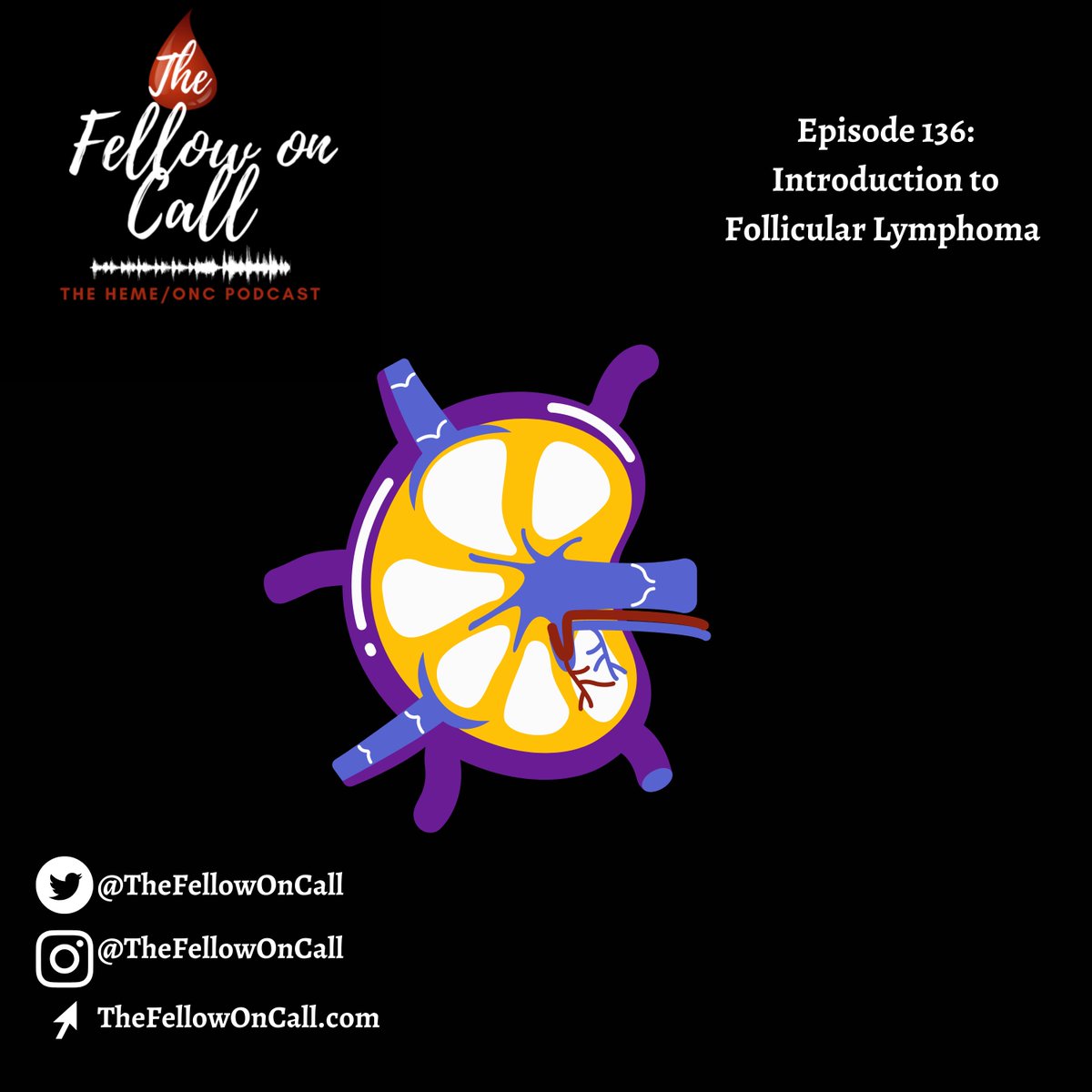TheFellowOnCall's tweet photo. Be sure to check out our comprehensive show notes for this episode and others! This week's notes were written by #TFOC members @MeganConnorMD and @zen228!

Link: https://t.co/Ii2vLn952o https://t.co/rZi9RbuMNM