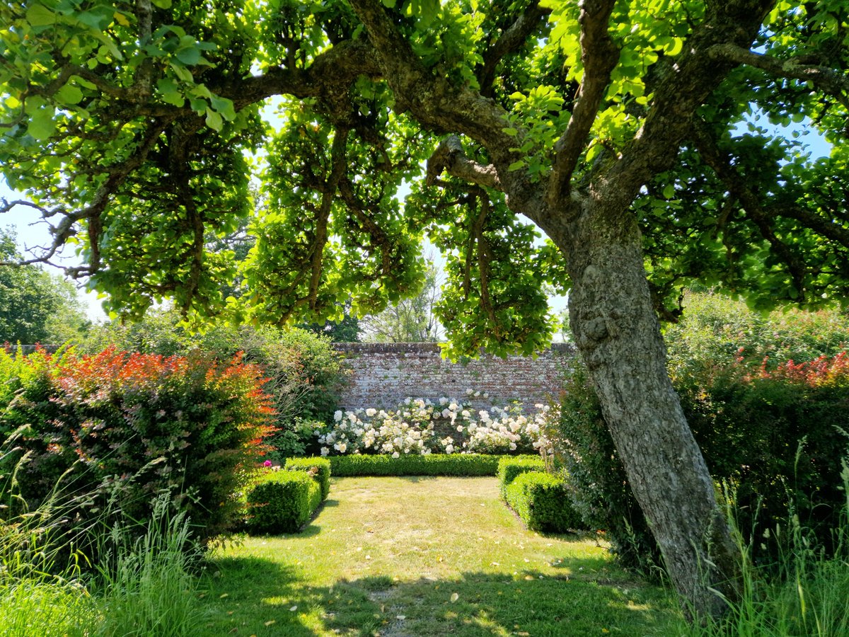 Ali - Muddy Kent tweet media