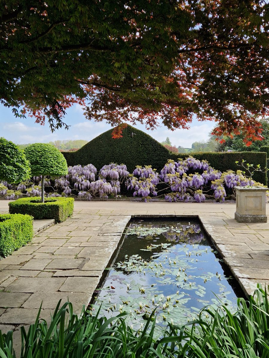 Ali - Muddy Kent tweet media