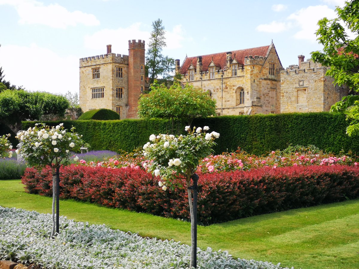 Ali - Muddy Kent tweet media