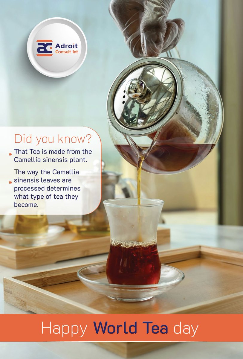 adroit_consulti's tweet image. 🍃 All traditional teas black, green, white, oolong come from Camellia sinensis. It’s not the leaf that changes, but the process 🌱

A perfect reminder: diversity can bloom from shared roots.
 Happy #WorldTeaDay! 🫖

 #TeaFacts #AdroitConsultInternational