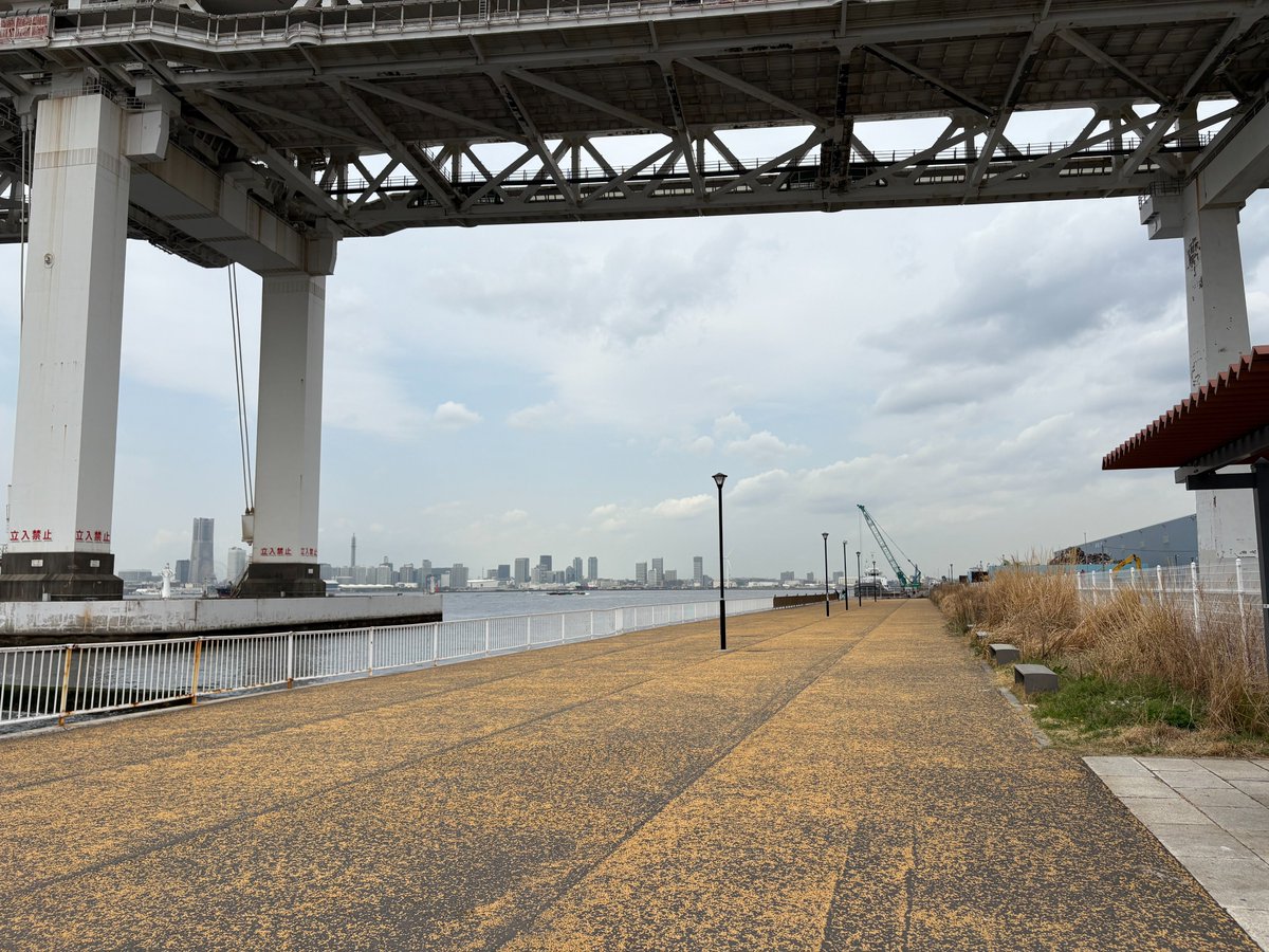 mikantakahiro's tweet photo. 先日、横浜の某釣り場において
「リールを使った釣り禁止」という件について
港湾局から回答をいただいたので公表します。

＜質問1＞某釣り場（メールでは正式名で質問してます）の
ルールについて

まぁ、回答を見ていただければわかりますけど
リールを使った釣りは「禁止されていません」。 https://t.co/LdtLRKb1Rz