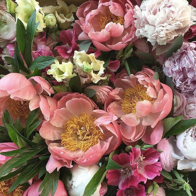 ETHEREALPRADA's tweet image. 