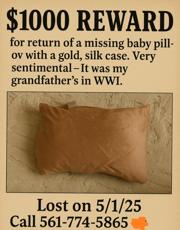 RealDrGina's tweet photo. If you live near #Tampa #Florida or #FortDrum, please help. This tiny pillow means the world to my family… https://t.co/IChCZpUMLq