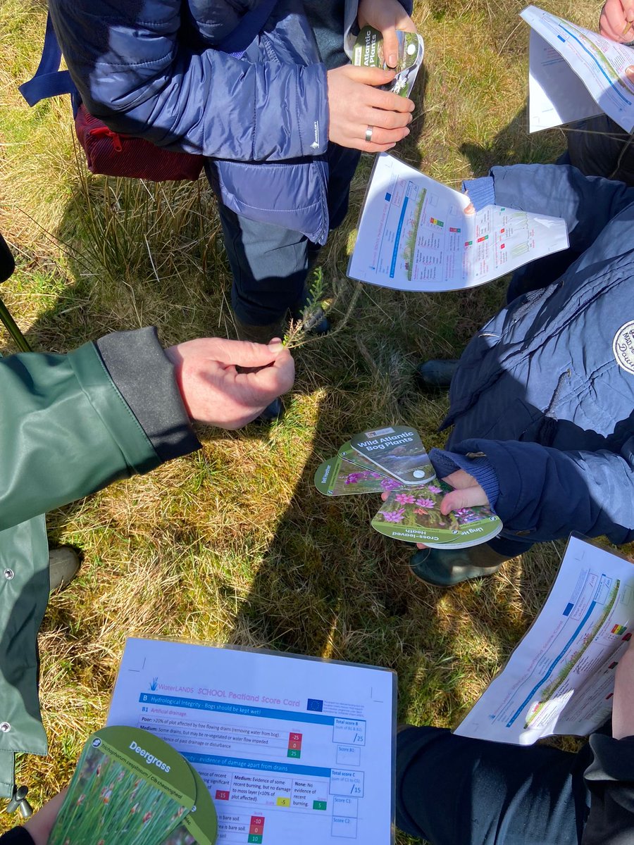WaterLANDS_EU's tweet image. 🌿In our latest @WaterLANDS_EU #blog, Irish Action Site Coordinator @guaduneth provides insights into the purpose and importance of the School Programme set up as part of their restoration work with @WAN_LIFEIP & #NPWS! Read the article here: waterlands.eu/news-and-event…